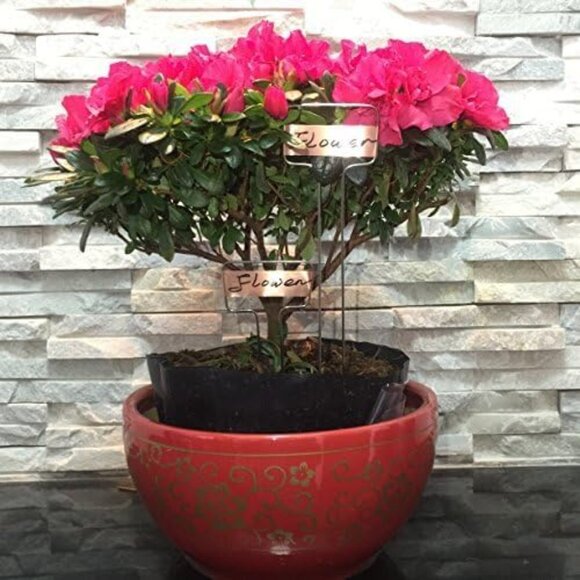 Pack of 30 Copper Plant Labels for Garden, Metal Plant Markers Nameplate, Plant - Picture 2 of 8